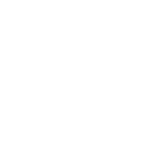 DER STANDARD