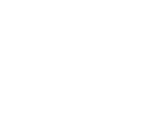 Publicis Media